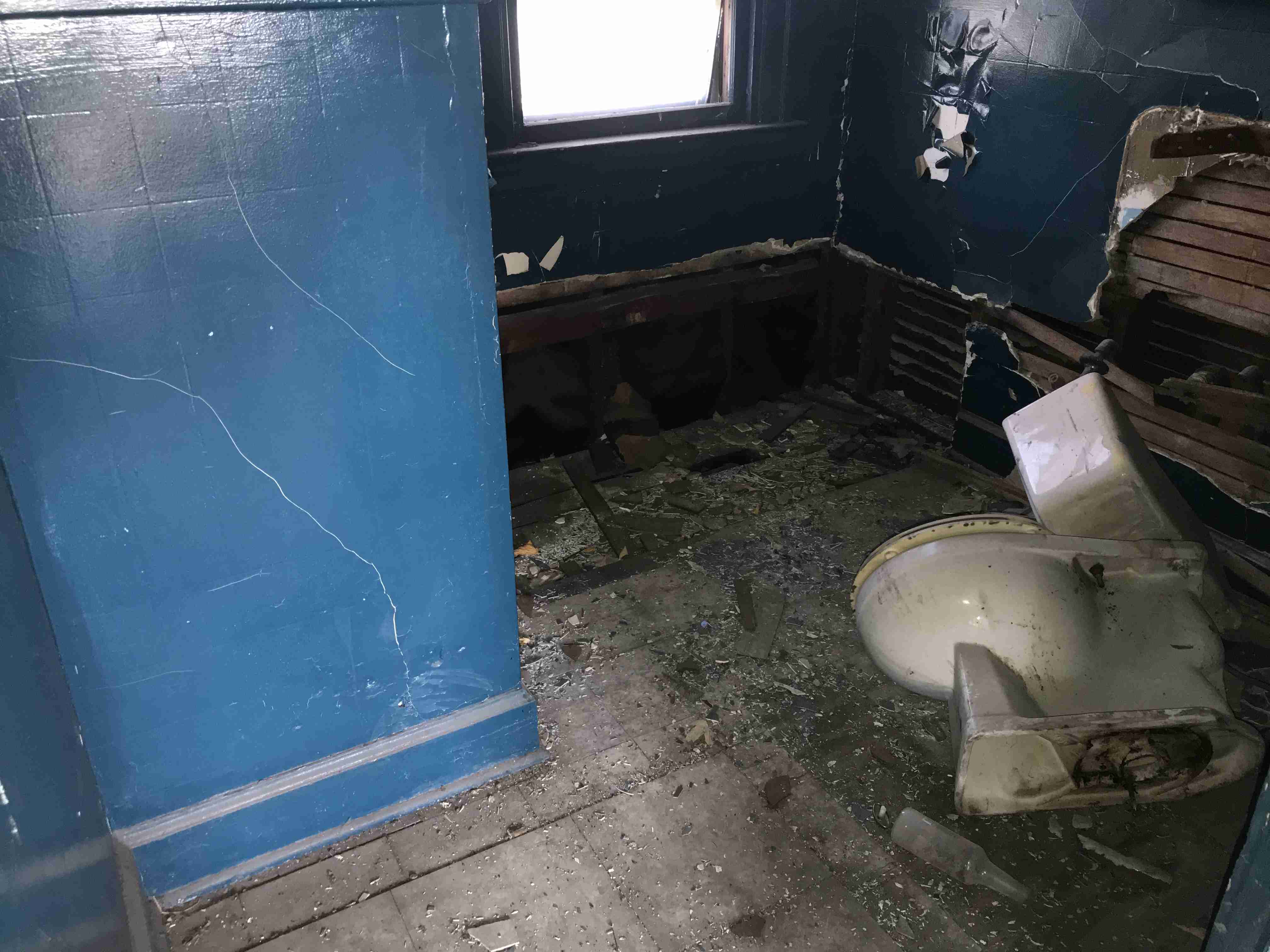 Photo Nov 03, 11 28 41 AM.jpg